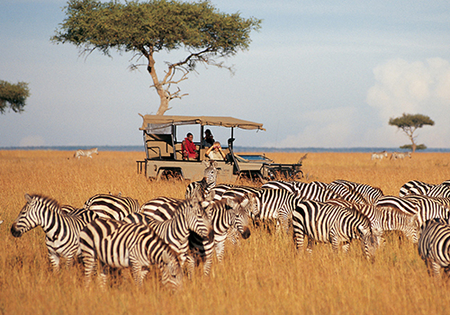 classic-luxury-safari-for-8-days-in-kenya
